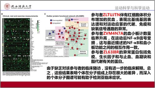 香港正版免费大全资料|实时更新解释落实_单独版.5.311
