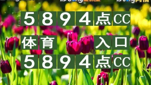 2024澳门特马今晚开奖图纸|轻松玩转生活小技巧_转变款.3.322