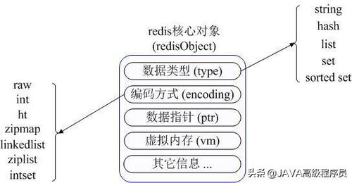 2024新奥正版资料大全免费提供|真实数据解释落实_特别型.3.449